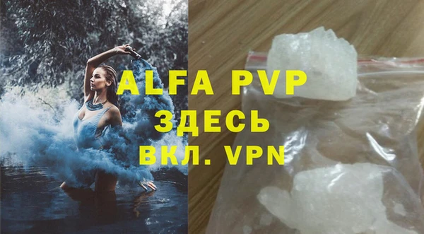 альфа пвп Новодвинск