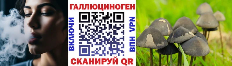 Галлюциногенные грибы Psilocybe Алексин